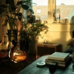 a living room with a guitar and a plant